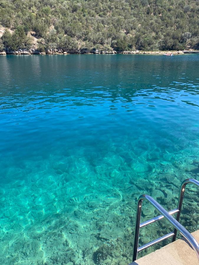 Vacation Home Viducic Dragove Bagian luar foto