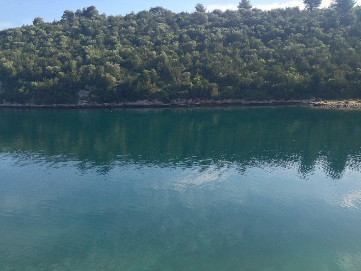 Vacation Home Viducic Dragove Bagian luar foto